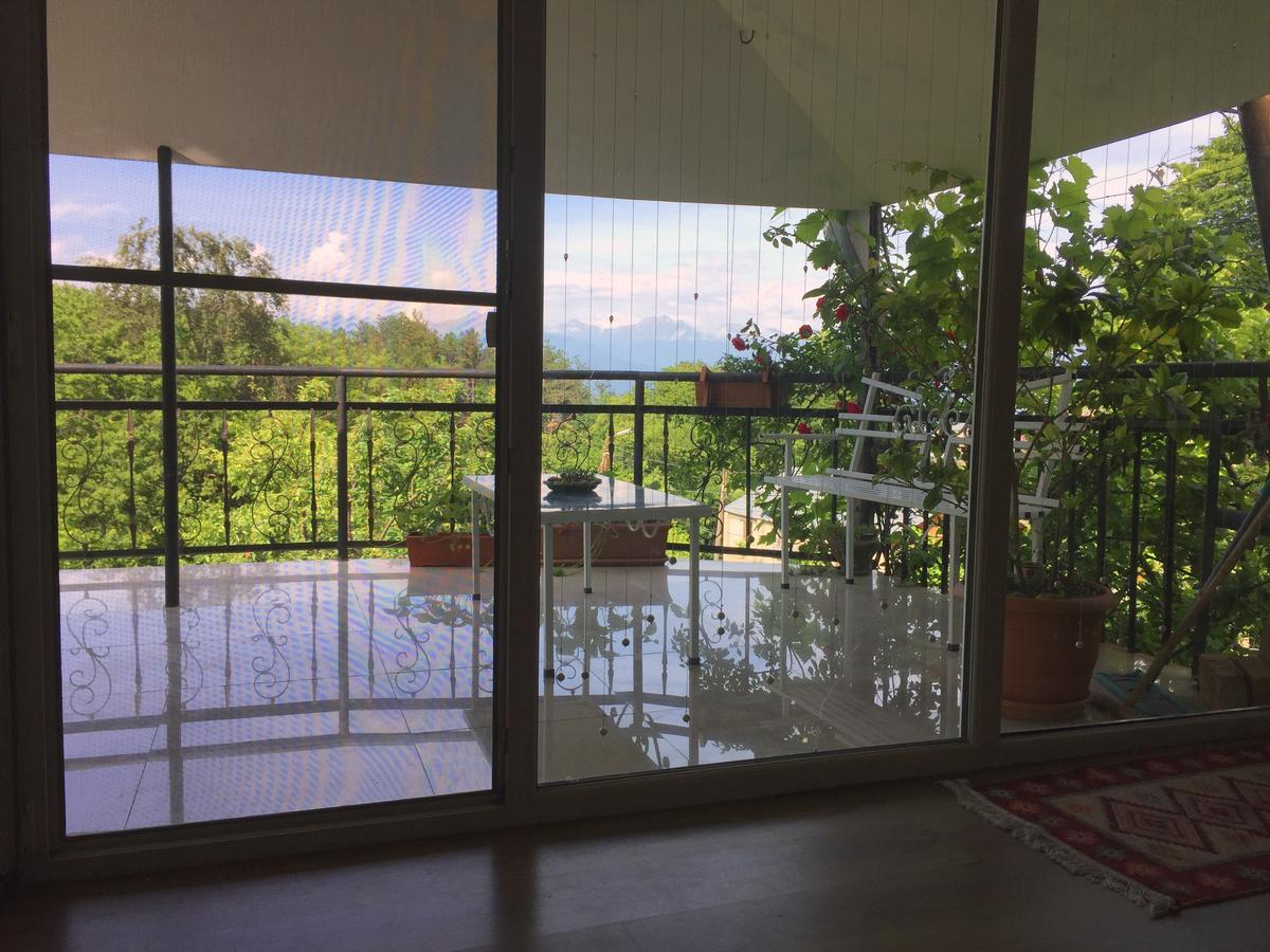 Nino'S Veranda Apartment Телаві Екстер'єр фото